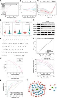 RNA methylation pattern and immune microenvironment characteristics mediated by m6A regulator in ischemic stroke